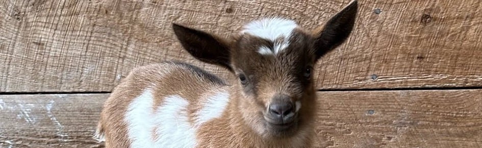 Ontmoetingscentrum Discord Server Banner