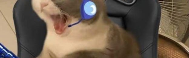 Pairing Paradise Discord Server Banner