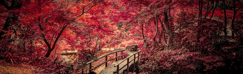 𝐀𝐩𝐡𝐫𝐨𝐝𝐢𝐬𝐢𝐚 β&β¹⁸⁺ Discord Server Banner