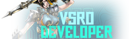 vSro Developer Discord Server Banner