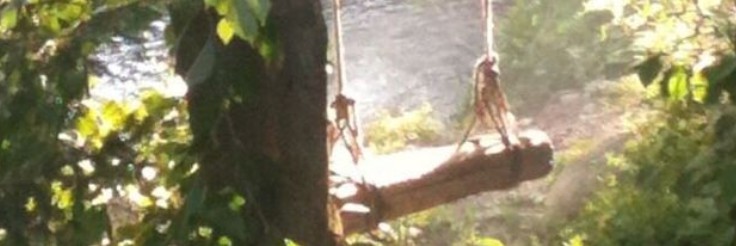 ꒦?꒷ {aqua's garden} Discord Server Banner