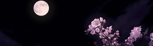 Asakusa Discord Server Banner