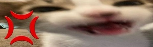 Esc Discord Server Banner