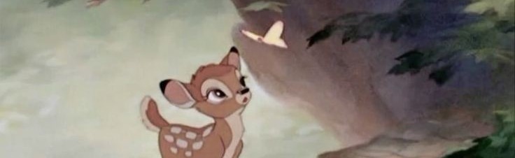 sᴏᴄɪᴀʟᴢ Discord Server Banner