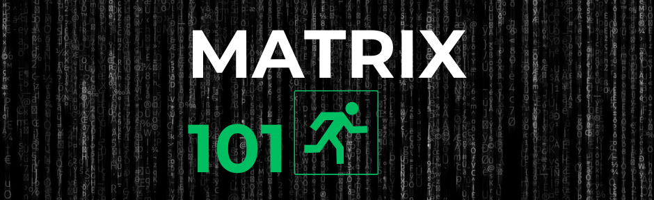 Matrix Bug 101 Discord Server Banner