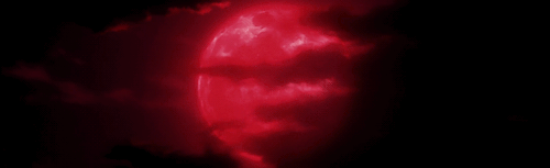 Misty's Café Discord Server Banner