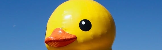 Duck City Discord Server Banner