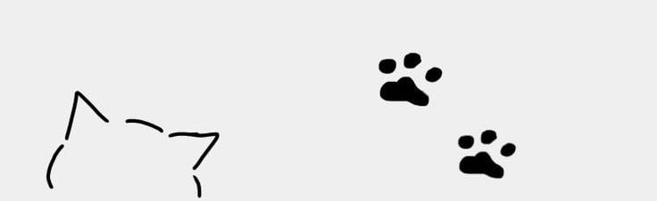 Whisker Studio Discord Server Banner