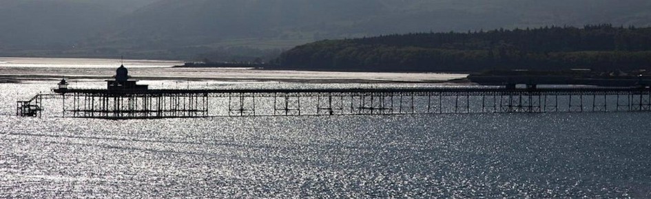 awoodvine Discord Server Banner