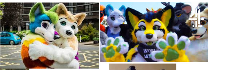 Furry OwO Discord Server Banner
