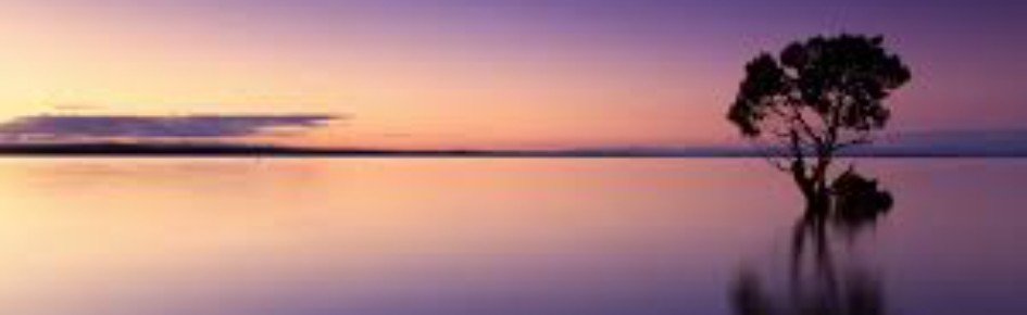 Down Low Discord Server Banner