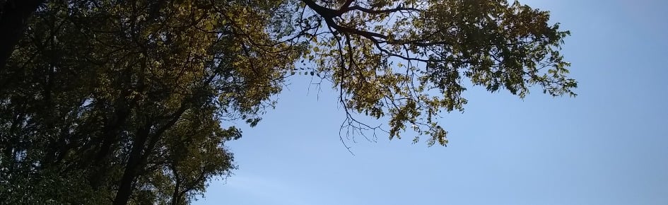 HangOut Club Discord Server Banner