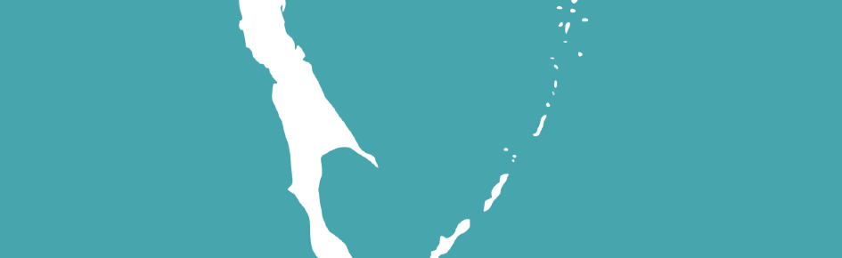 Republic of Sakhalin Discord Server Banner