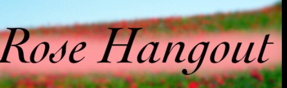Rose Hangout ?? Discord Server Banner