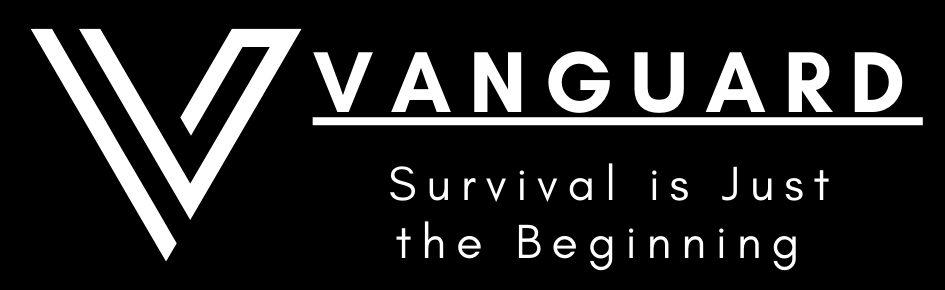 Vanguard Servers Discord Server Banner