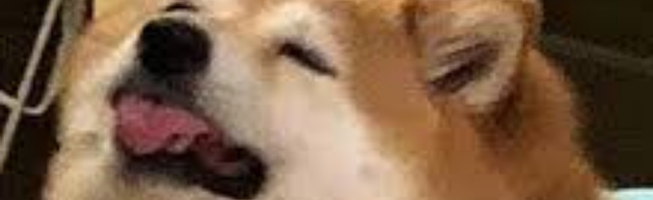 CTKHUB Discord Server Banner