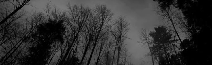 Sepulcro Discord Server Banner