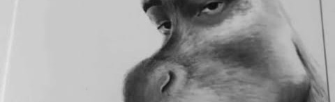 bootycheeks Discord Server Banner