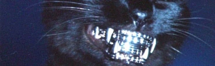 Chrome Discord Server Banner