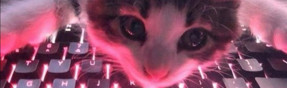 Juno Discord Server Banner