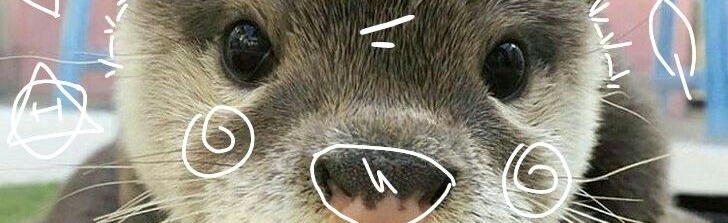 The world of otters.de Network Discord Server Banner