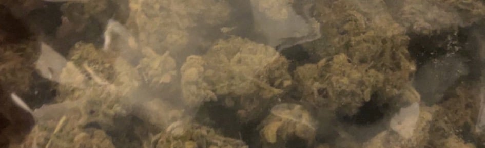 Greetings from 𓆰♕𝙗𝙖𝙨𝙞𝙡𝙚𝙞𝙨. Discord Server Banner