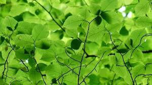 ??? ?????????? Discord Server Banner