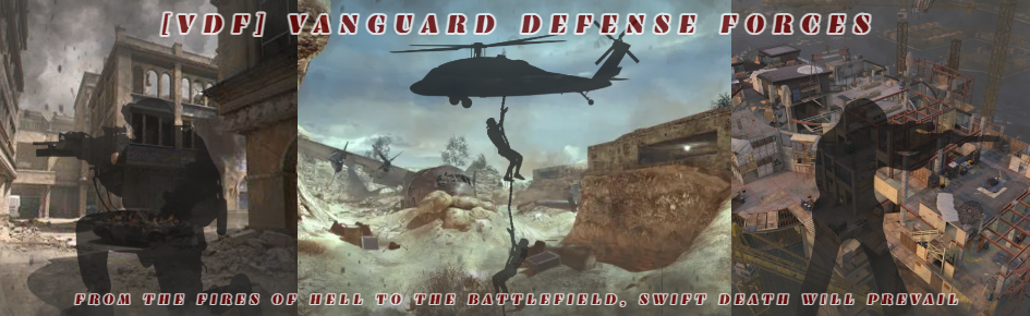 [SW-DGV] SWDG Vanguard Discord Server Banner