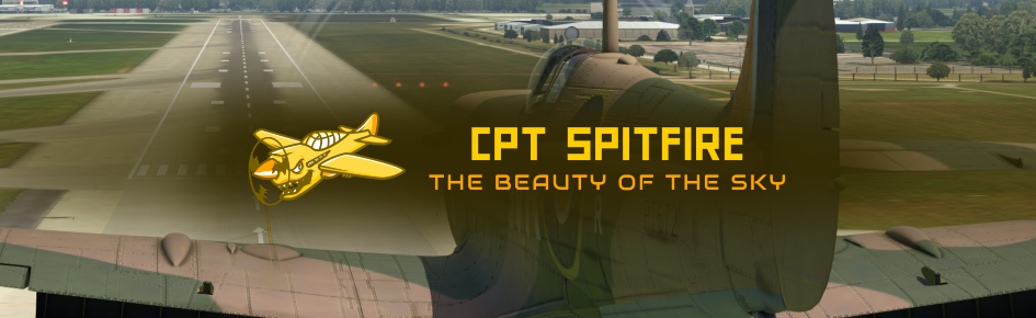 CptSpitfire Discord Server Banner