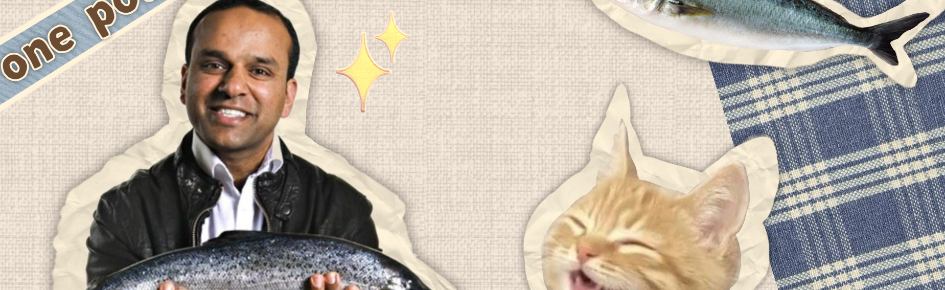 one pound fish Discord Server Banner