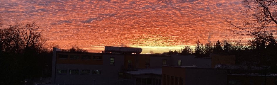 elricpro_yt’s discord server Discord Server Banner