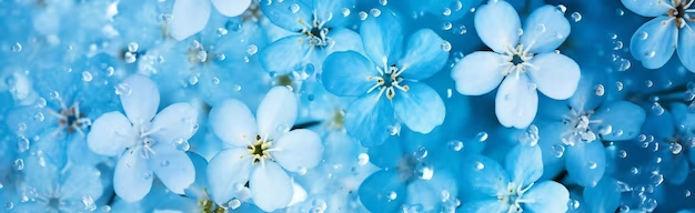 OZARYA Discord Server Banner