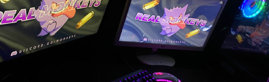 Robert Settings Discord Server Banner