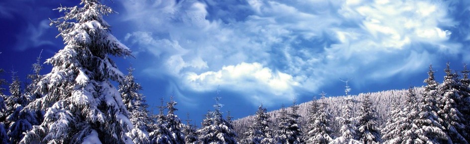 Diamond$ | anime ✿ chill ✿ nitro Discord Server Banner