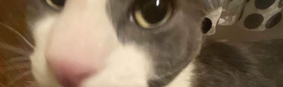 Sogtheism Discord Server Banner