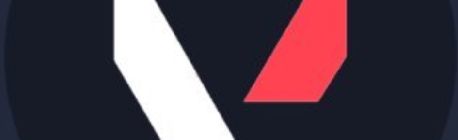 Valorant [LFG, LFP] Discord Server Banner