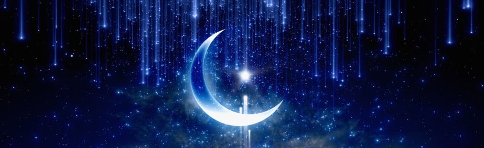 Moon Warriors Discord Server Banner