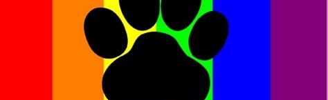 PixelPaws Discord Server Banner