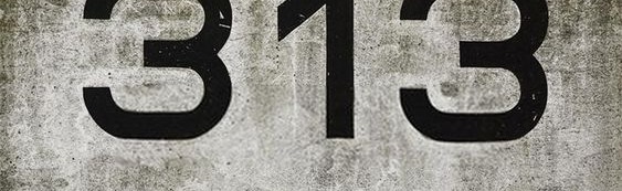 313 Discord Server Banner