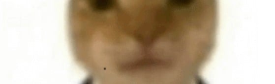 Ominöser Server Discord Server Banner