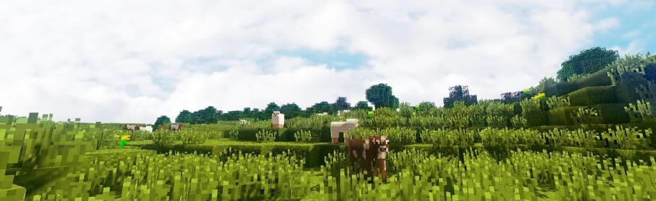 WRONG SIDE Discord Server Banner