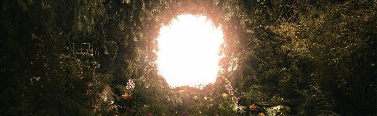 Into The Portal Discord Server Banner