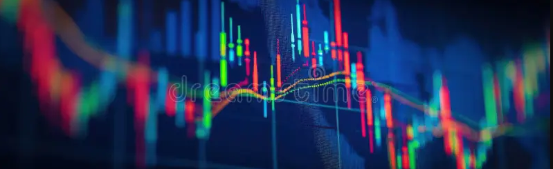 DOJO Free Zone Discord Server Banner