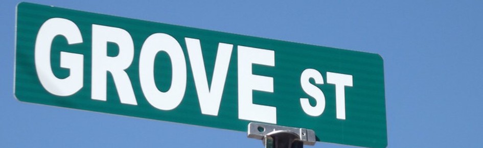 grove street bitch Discord Server Banner