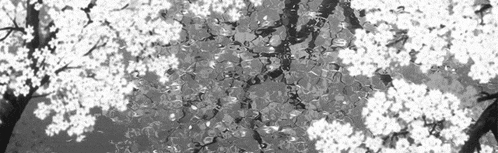 Luminescent Discord Server Banner