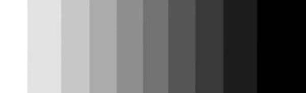 Expression of Freedom Discord Server Banner