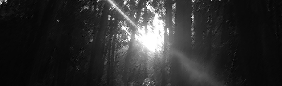 HUB OF OSV Discord Server Banner