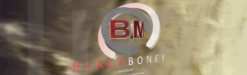 BMHP:Bot Discord Server Banner