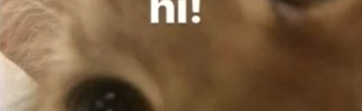 🍂 Anyumi 🍂 Discord Server Banner