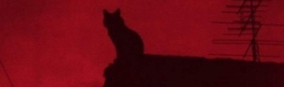 Boost UF Discord Server Banner